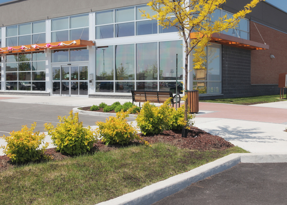 Exterior view of a store and parking lot with landscaping