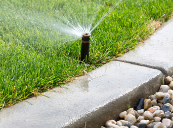 Close up view of a water irrigation hose being use to water the lawn at a commercial facility